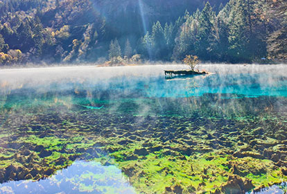 【Charming Sichuan + Land of Abundance】-Day 6-Night Quality Tour | 5A Jiuzhaigou + Huanglong + Emei + Leshan